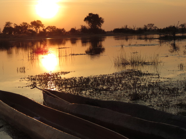Okavango Delta-马翁必去景点