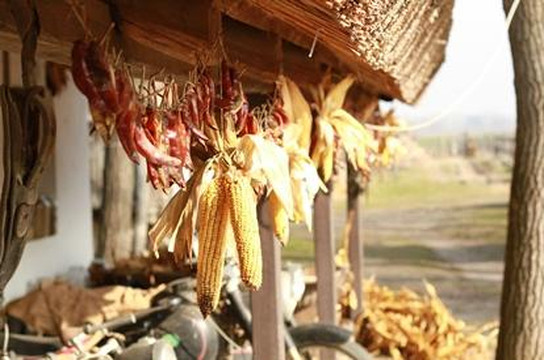 Rural Safari Hungary Day Tour-布达佩斯必去景点