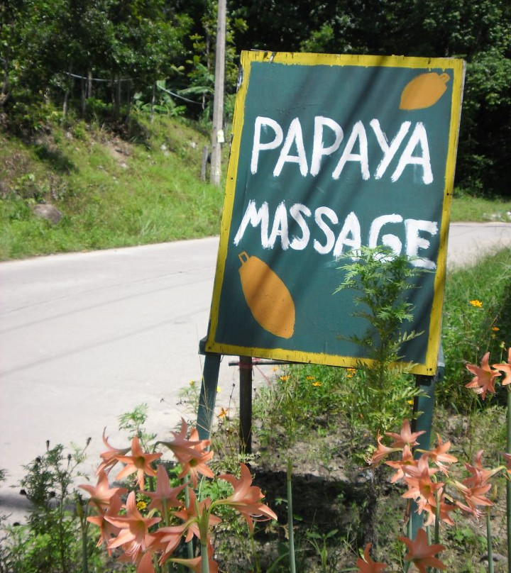 Papaya Massage景点图片