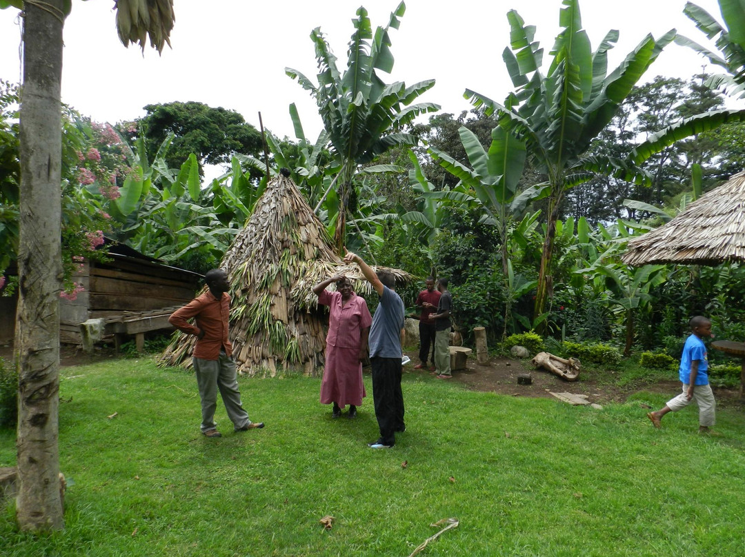 Machame Nkweshoo Cultural Tourism-莫西必去景点