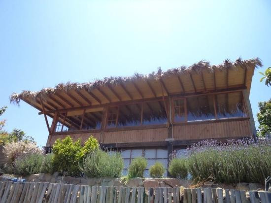 Posada Elqui Lombo