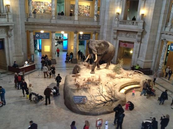 史密森尼国家自然历史博物馆-华盛顿特区必去景点