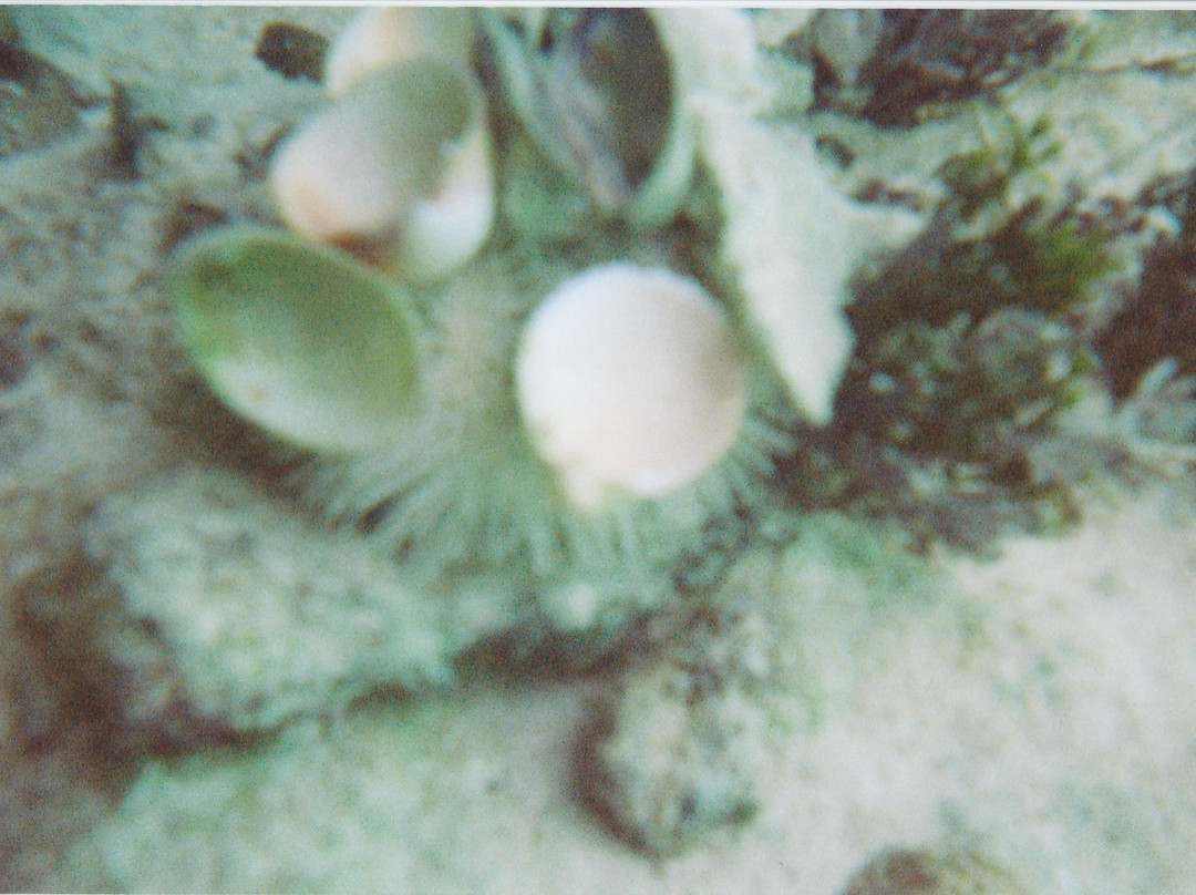 Cistern Cay Beach-伊柳塞拉必去景点