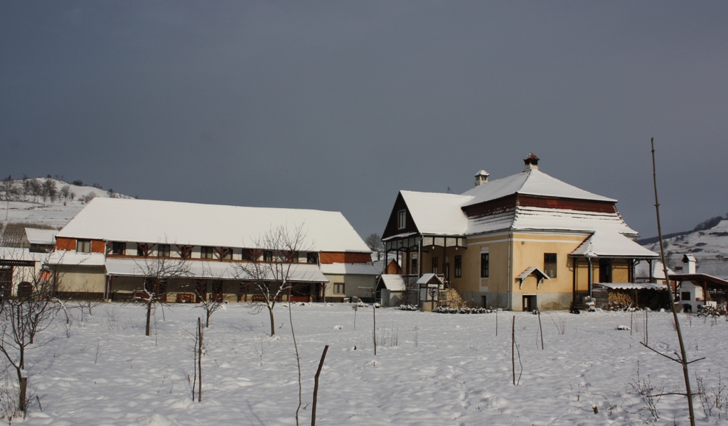 Kuria Vendeghaz-官方