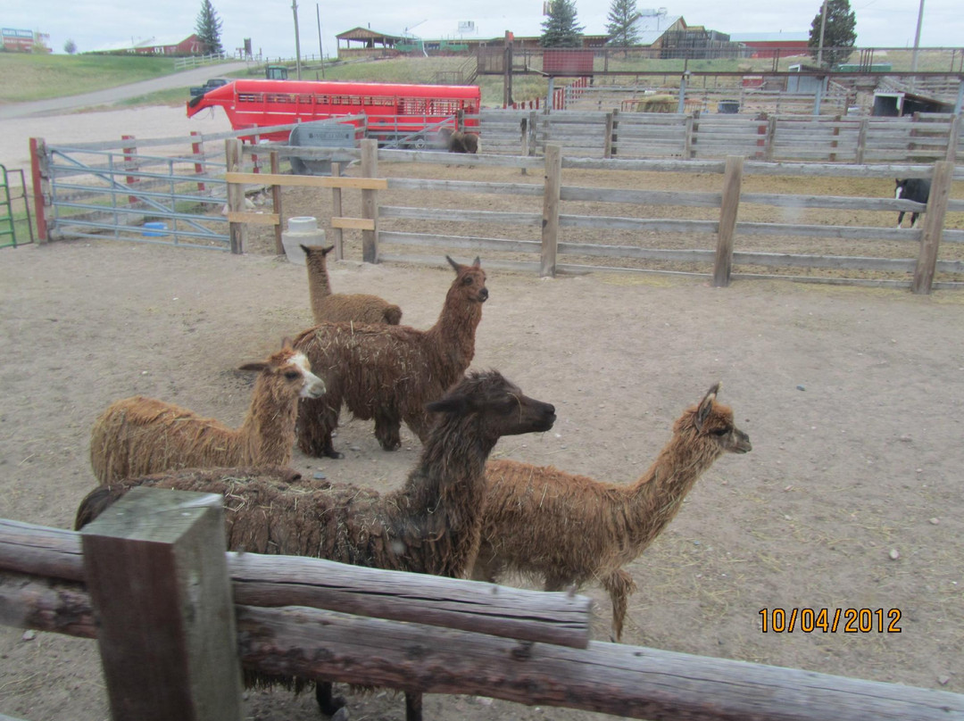 Terry Bison Ranch Resort-夏延必去景点