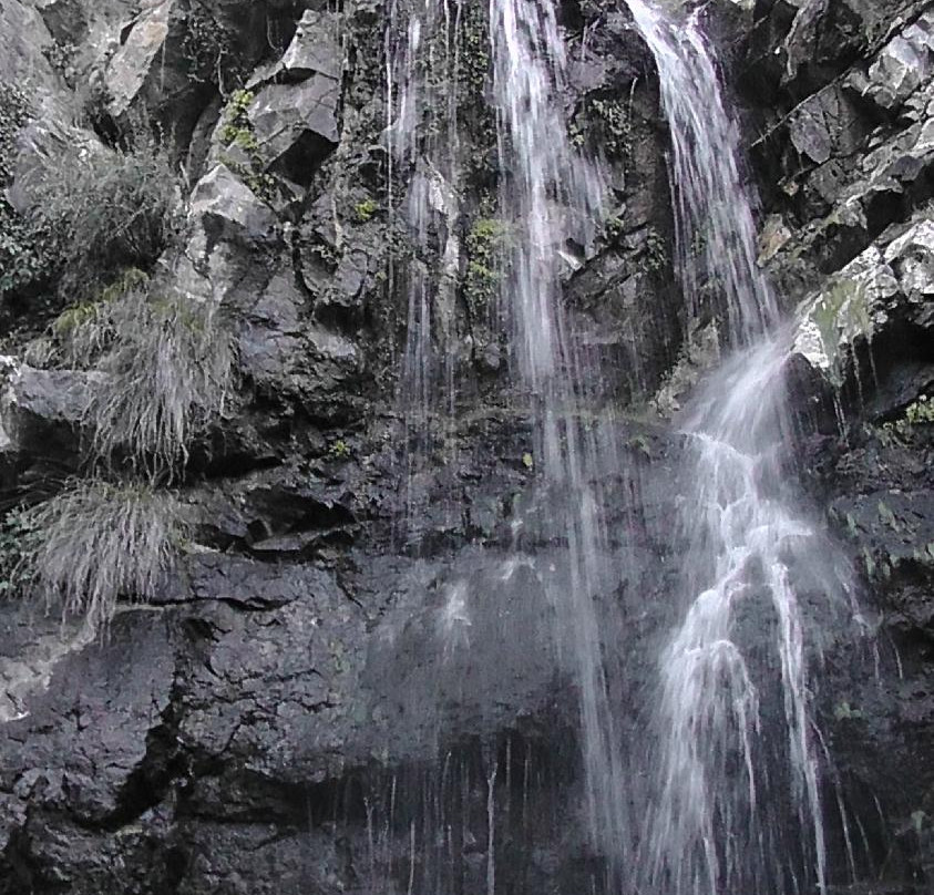 Caledonia Waterfall-帕拉翠斯必去景点