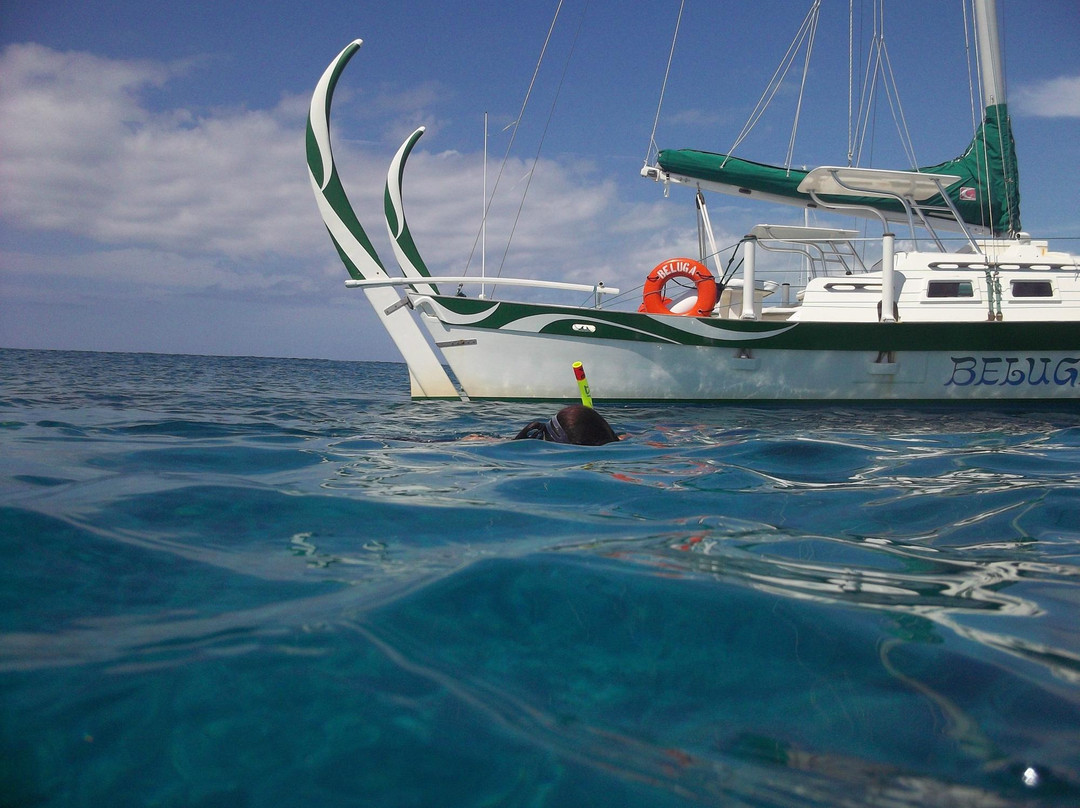 Sail Beluga-普罗维登西亚莱斯必去景点