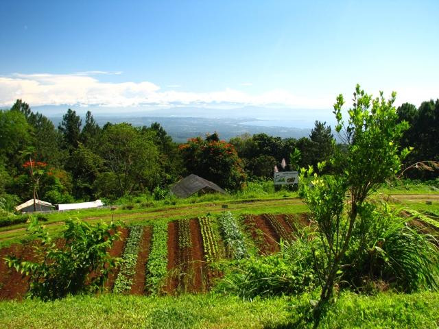 Eden Nature Park-达沃必去景点