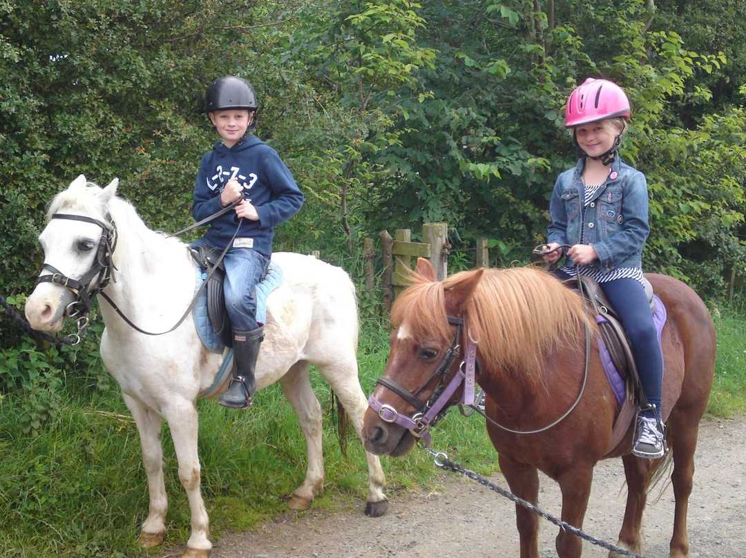 Vogrie Riding School-Pathhead必去景点