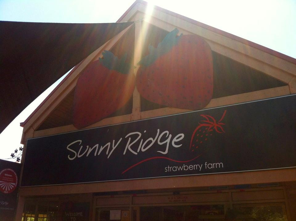 Sunny Ridge Strawberry Farm-Main Ridge必去景点