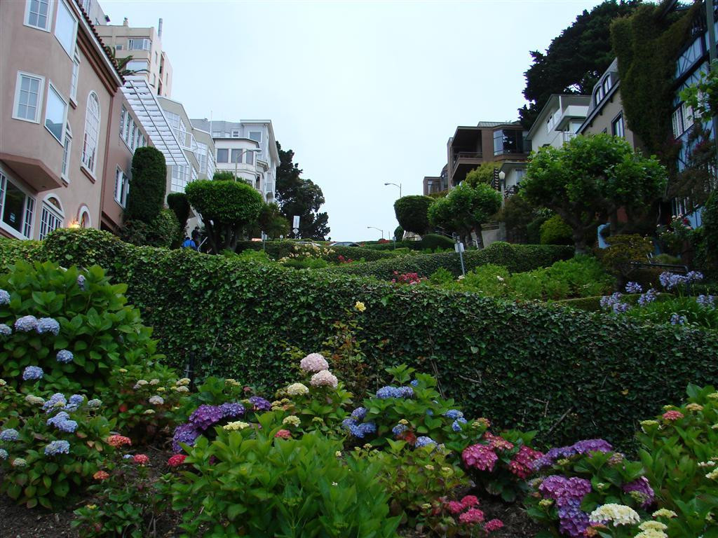 九曲花街-旧金山必去景点