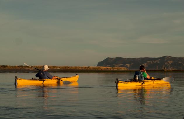 Driftwood Eco Tours-Kaikoura必去景点