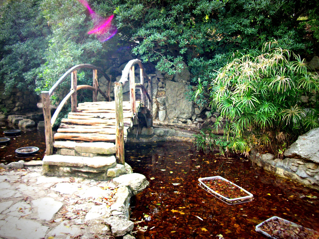 Zilker Botanical Garden-奥斯丁必去景点