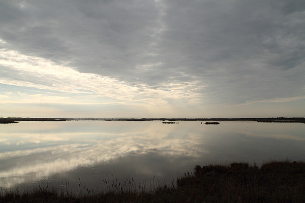 Pea Island National Wildlife Refuge景点图片