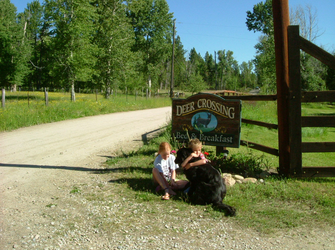 The Cabins at Deer Crossing主图