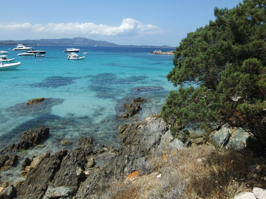 Spiaggia di Cala Sabina-Golfo Aranci必去景点
