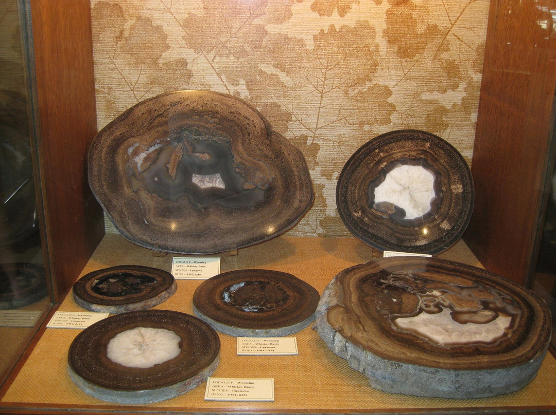 Petrified Wood Gallery-Ogallala必去景点