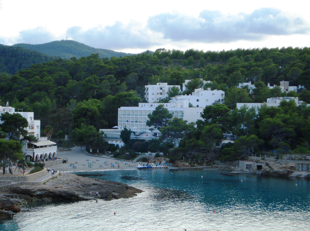 Playa S'Arenal Petit景点图片