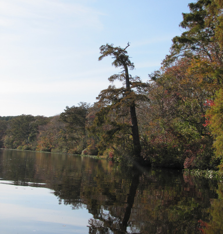 Pocomoke River State Park-Snow Hill必去景点