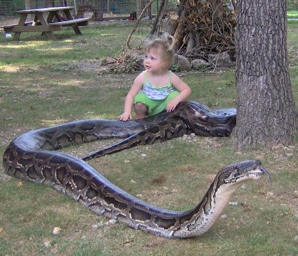 Eagle Rock旅游攻略图片