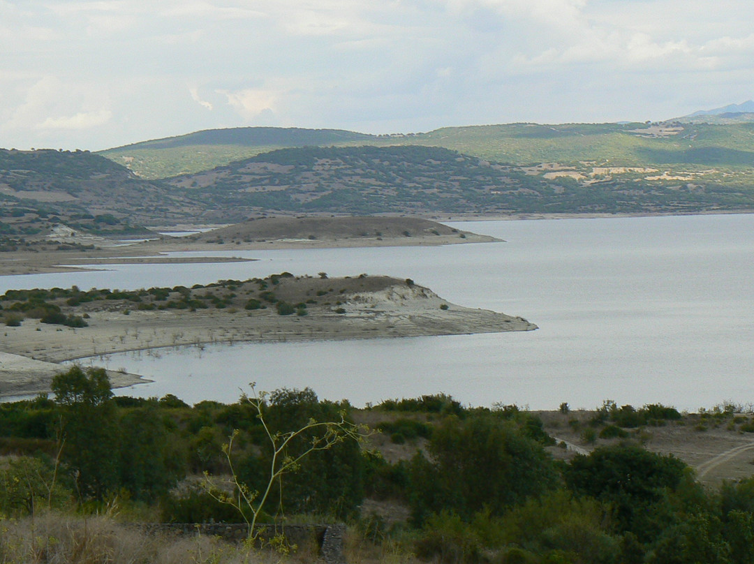 Lago Omodeo景点图片