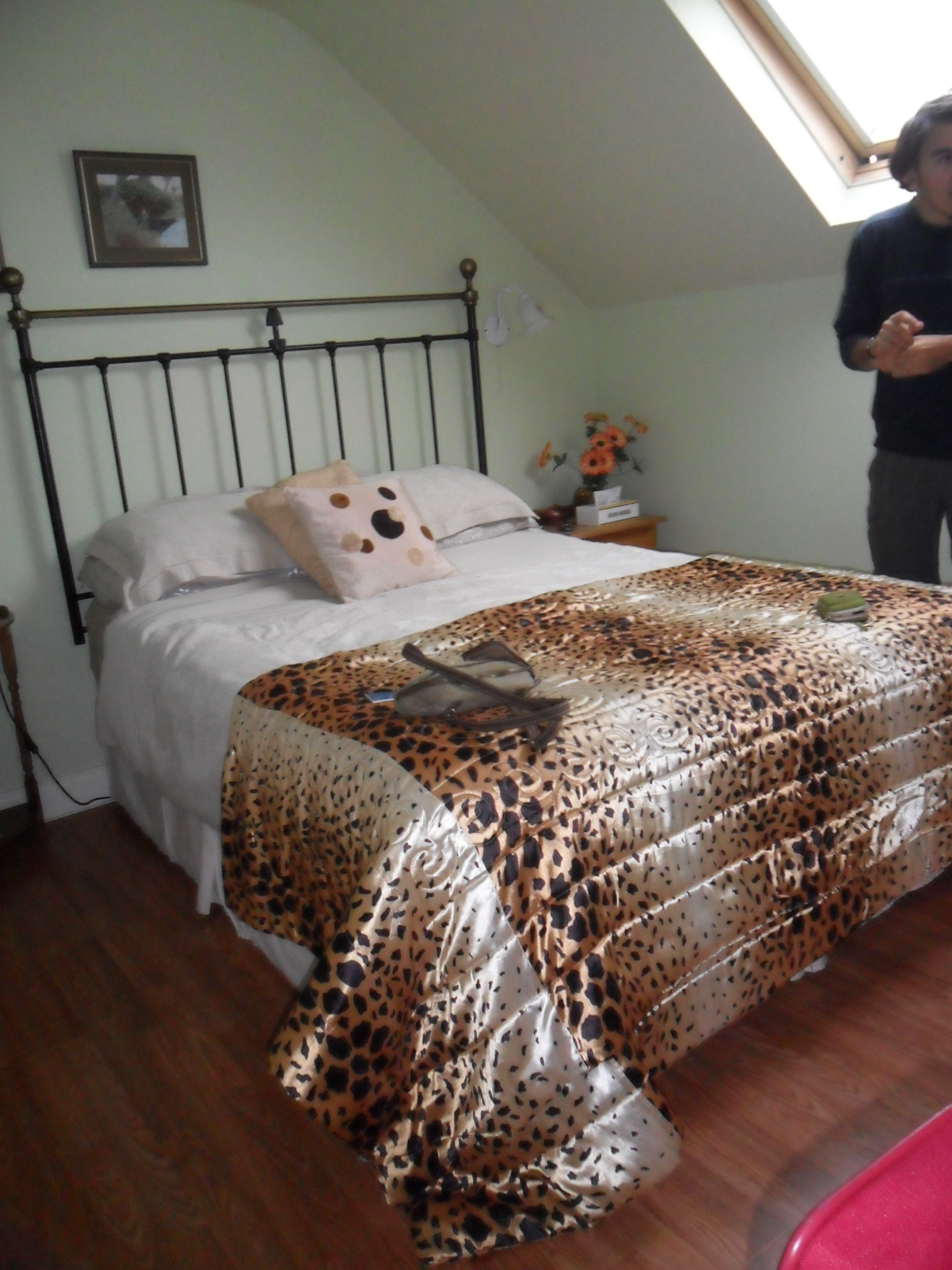 Krakow B&B-客卧