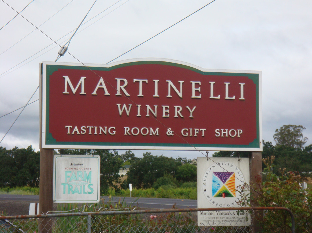 Martinelli Winery & Vineyards景点图片