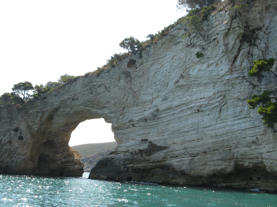 Costante Nicola Agenzia Tour Delle Grotte-佩斯基奇必去景点