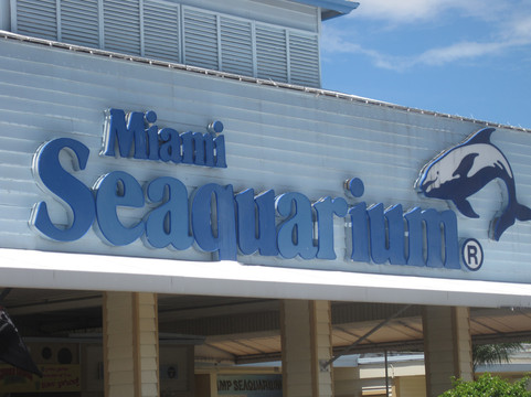 迈阿密水族馆-迈阿密必去景点