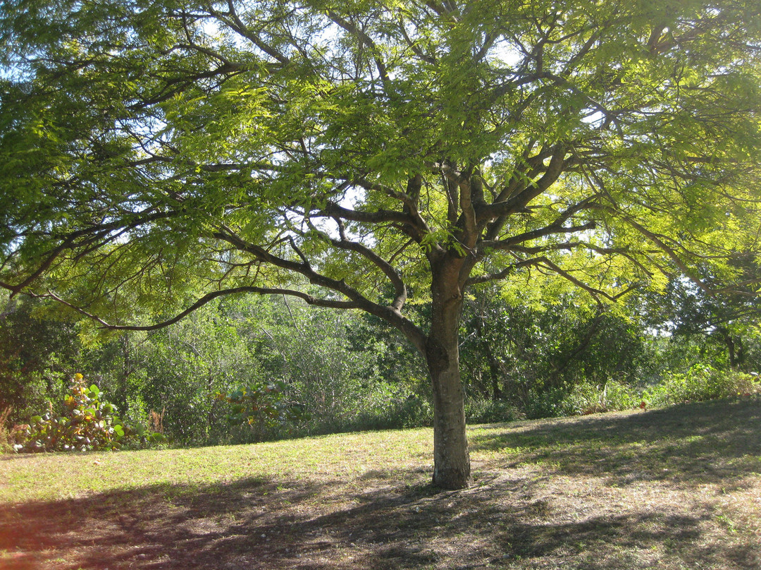Oleta River State Park-North Miami必去景点
