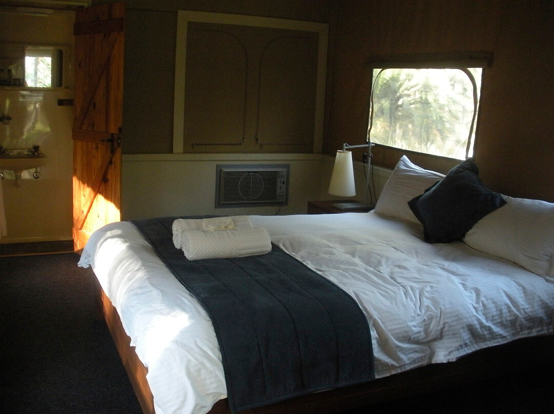 Carnarvon Gorge-Carnarvon National Park必去景点