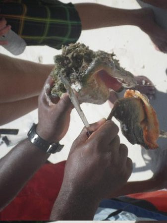 Island Vibes Tours-普罗维登西亚莱斯必去景点