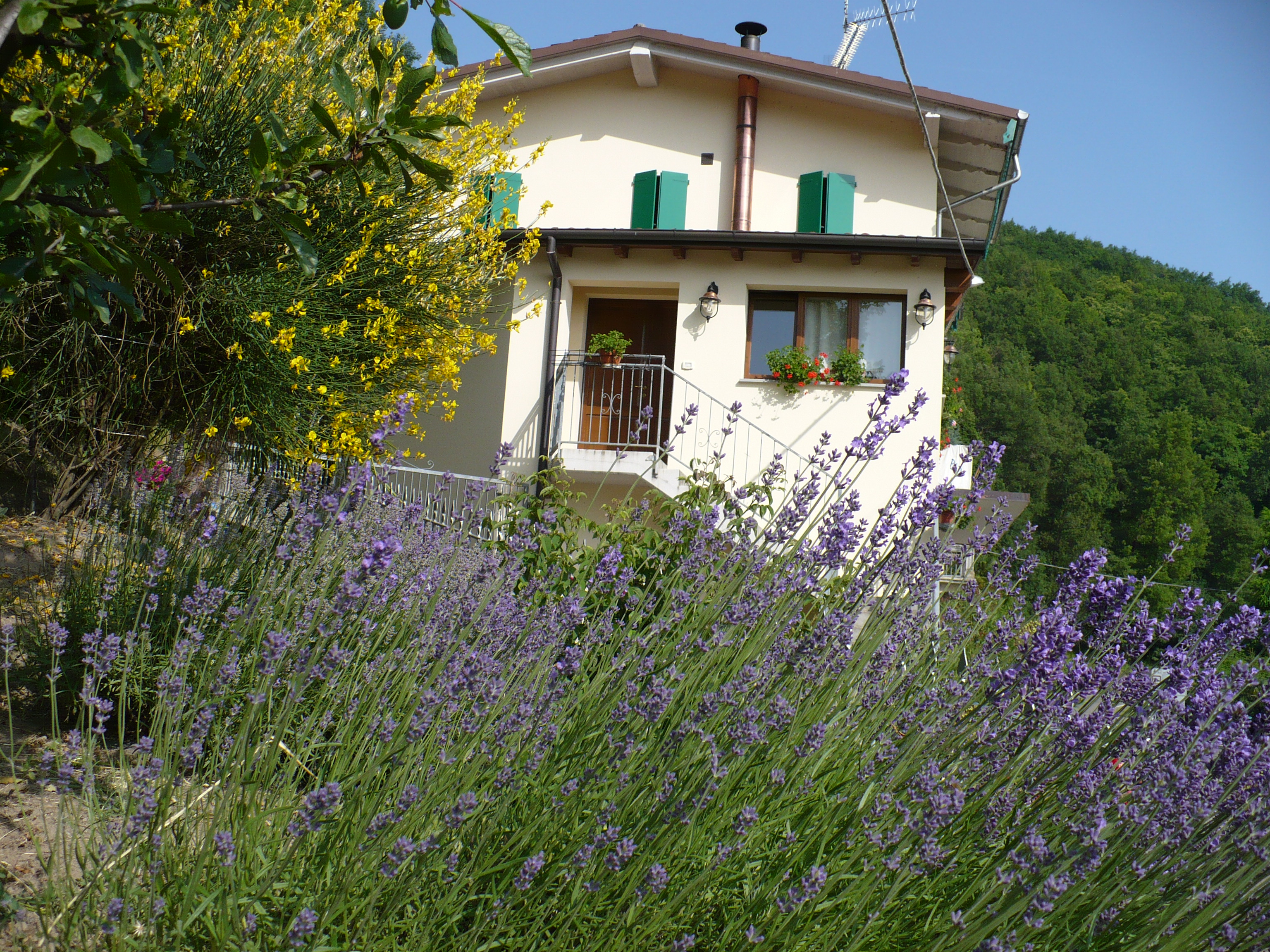 Bed & Breakfast Solo per Quattro-官方