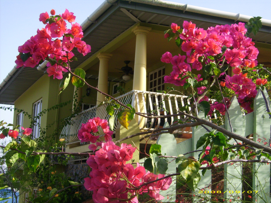 Santa Cruz酒店住宿-The Valley Oasis