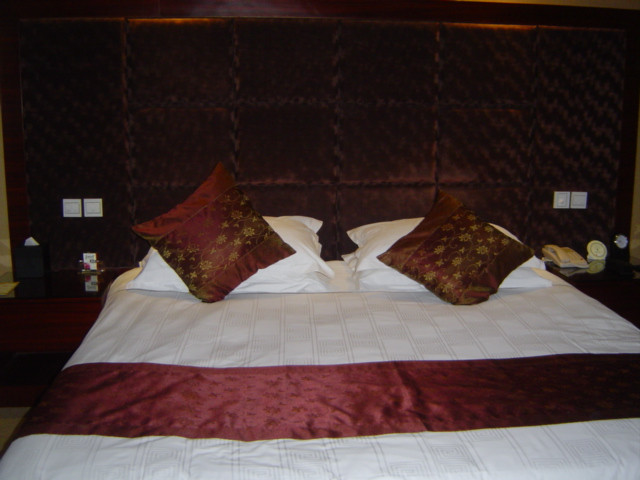 君泰大酒店主图