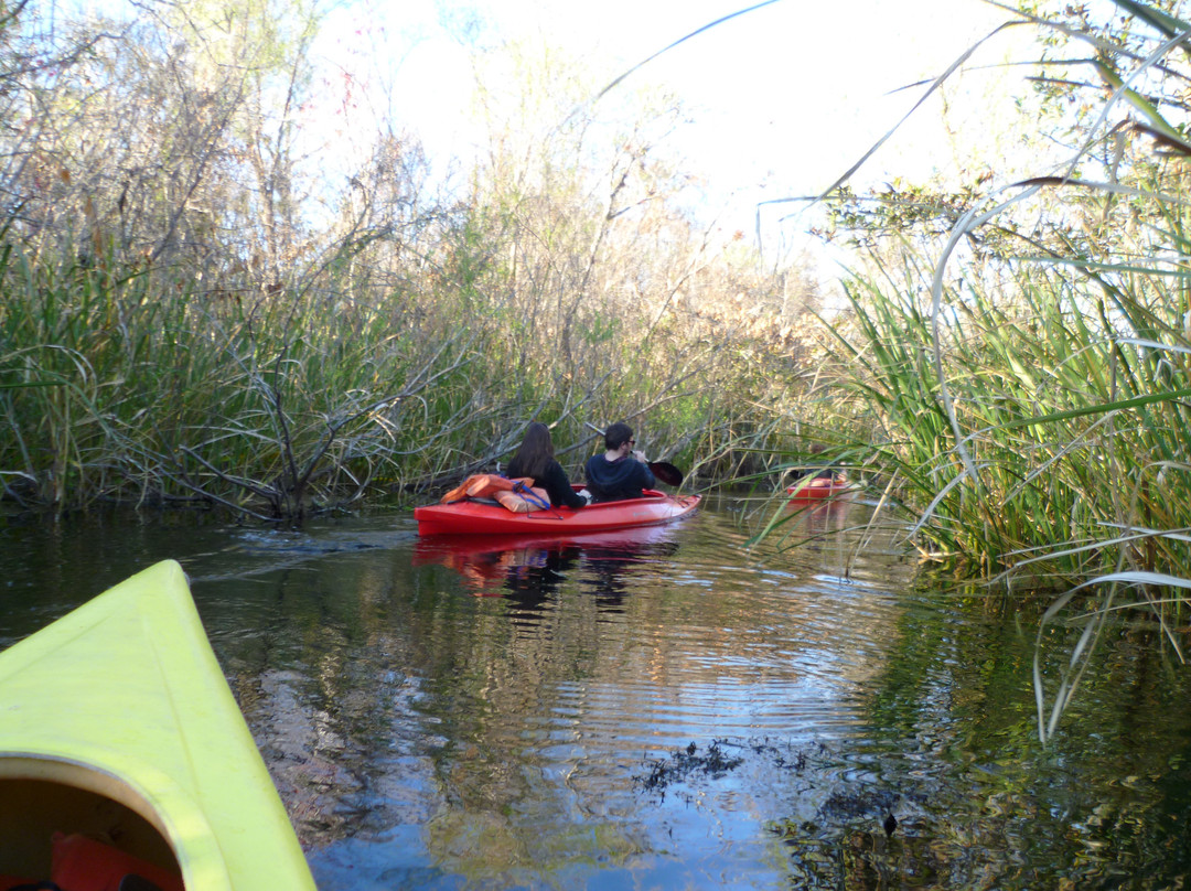 Everglades Adventures Kayak & Eco Tours-大沼泽地必去景点