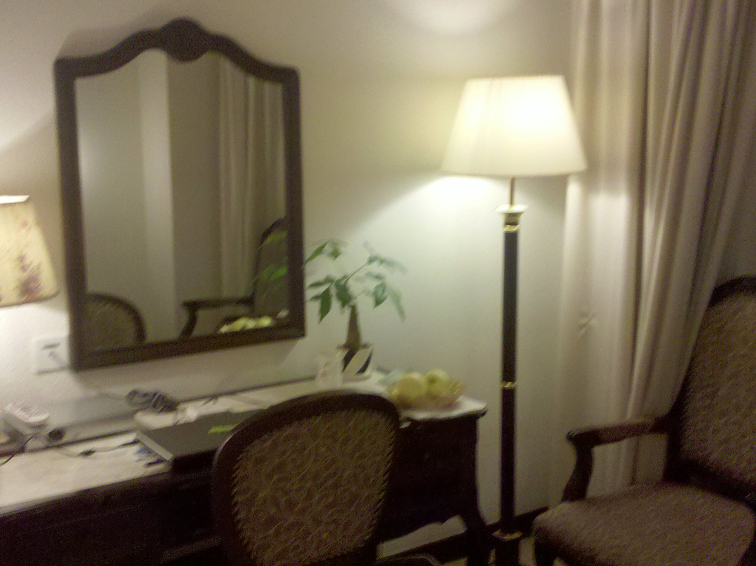 绿洲大酒店主图