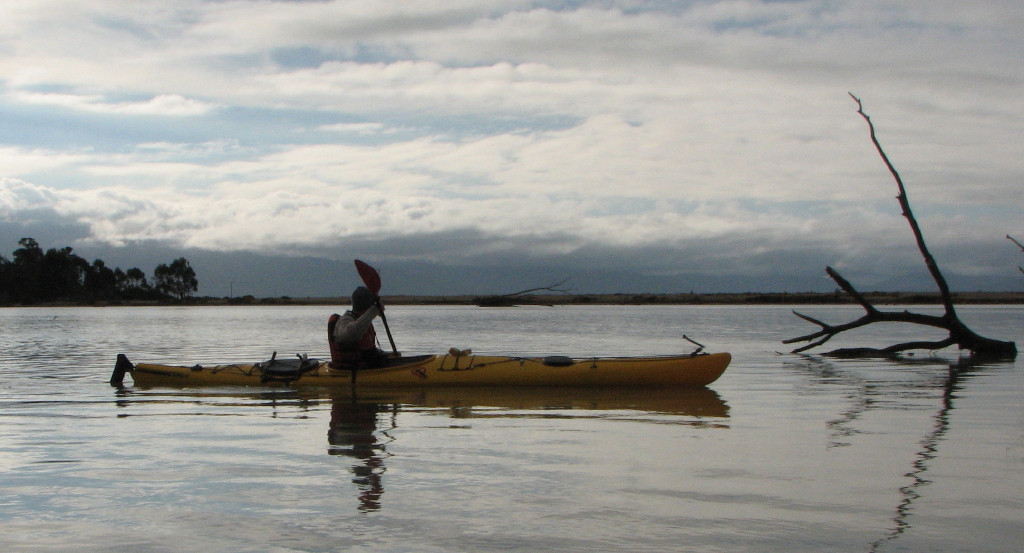 Driftwood Eco Tours-Kaikoura必去景点