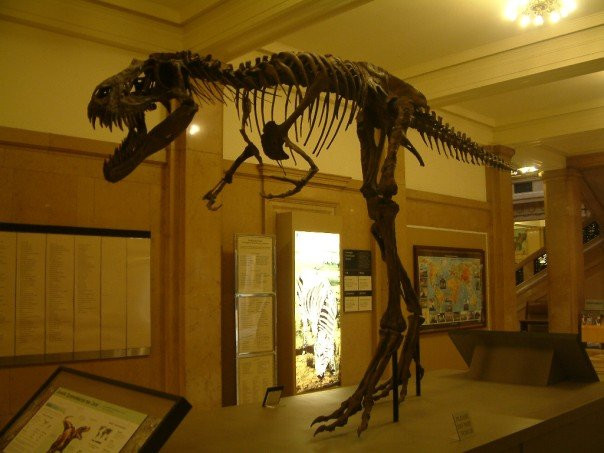 卡内基自然历史博物馆-匹兹堡必去景点