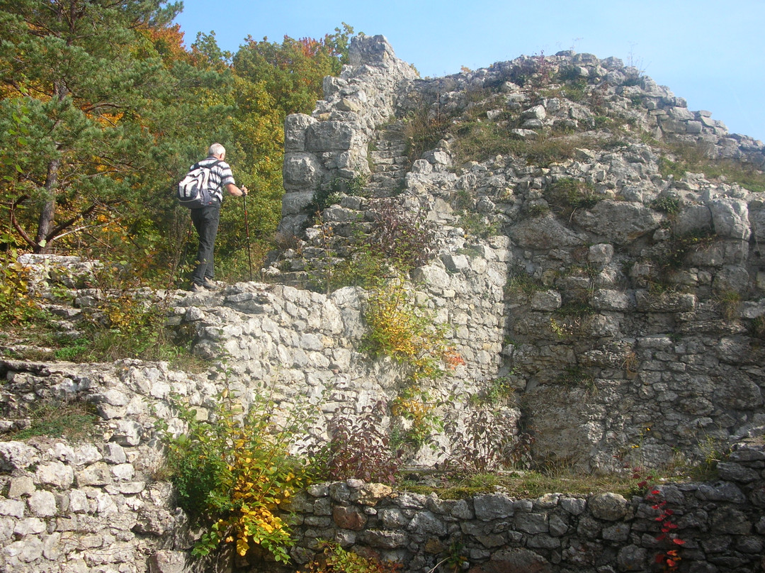 Burg Radegg景点图片
