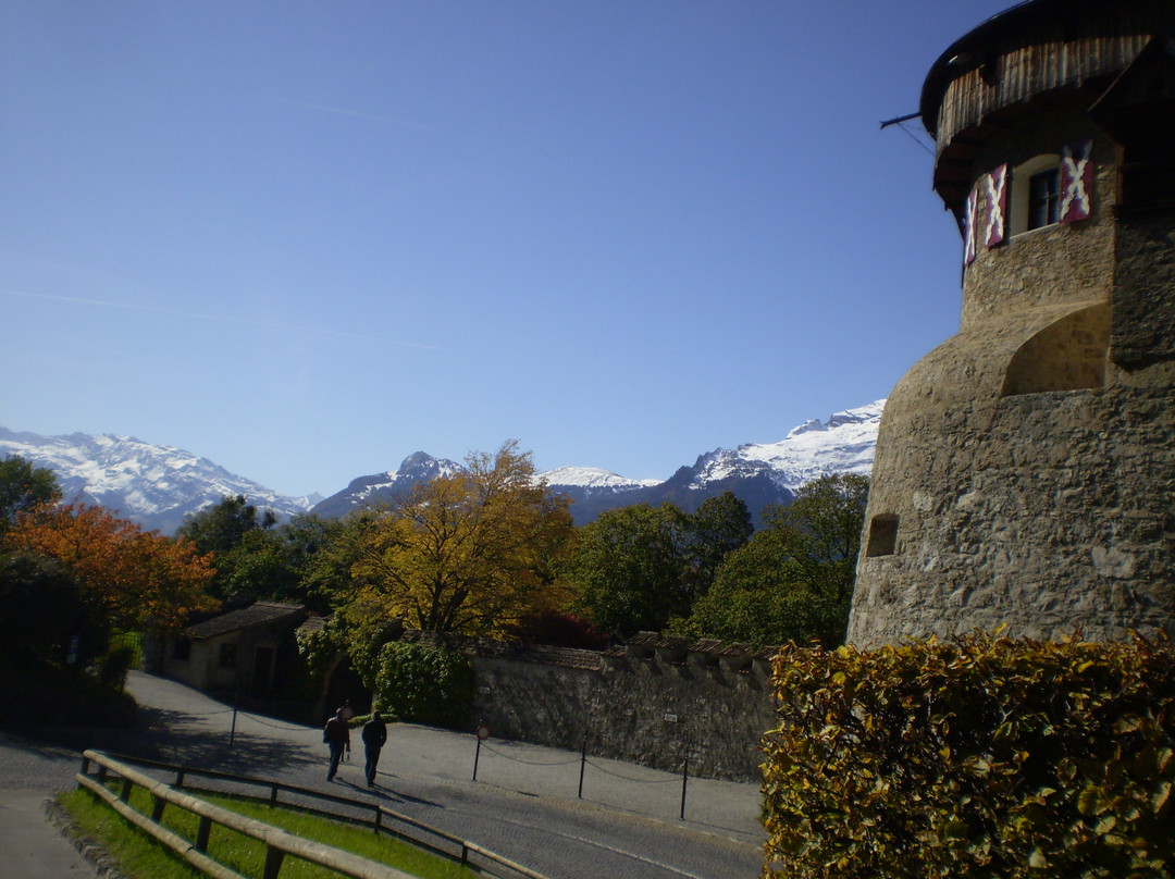 Vaduz Castle-瓦杜兹必去景点