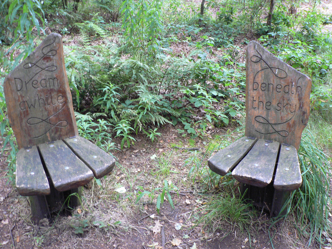 Brereton Heath Local Nature Reserve-Sandbach必去景点