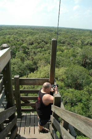 Myakka River State Park-萨拉索塔必去景点