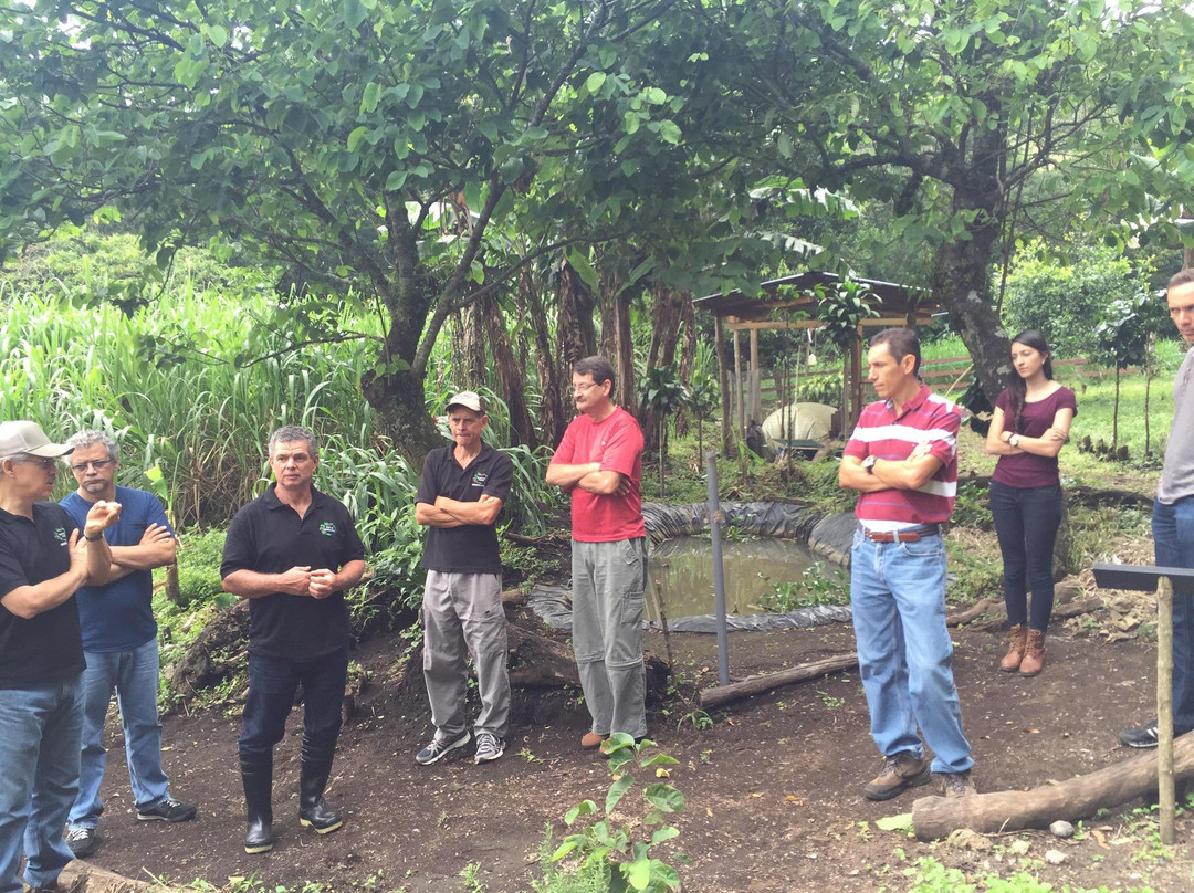 Life Monteverde-Los Tornos必去景点