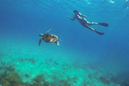 Instrutor de mergulho particular