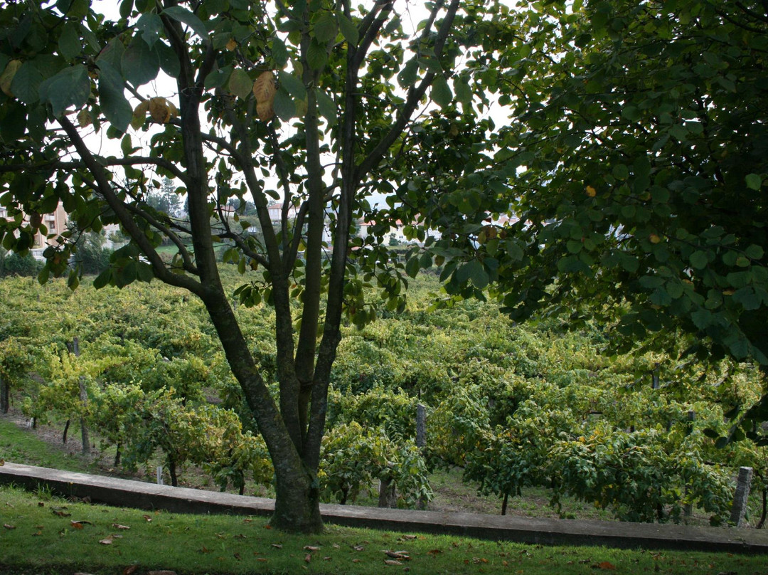 Quinta do Bacelo