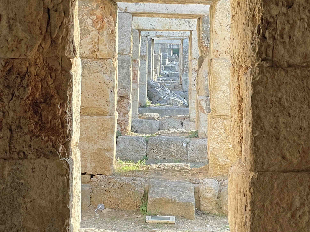 Tyre Hippodrome-Tyre必去景点