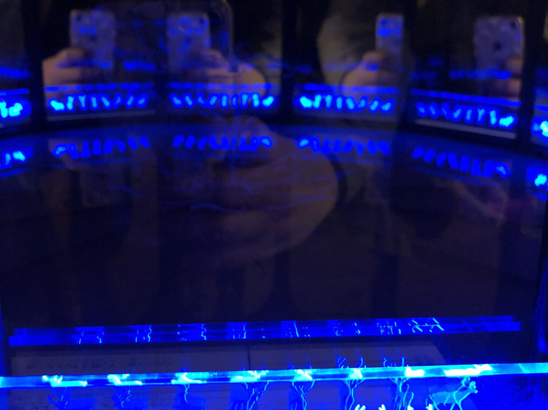 Sendai Kaleidoscope Museum-仙台市必去景点