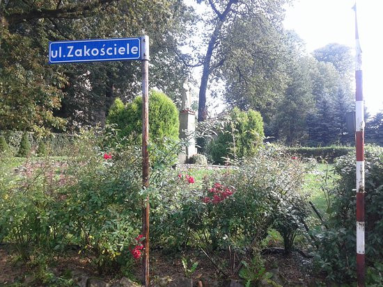 Kościół Nawiedzenia Najświętszej Marii Panny景点图片