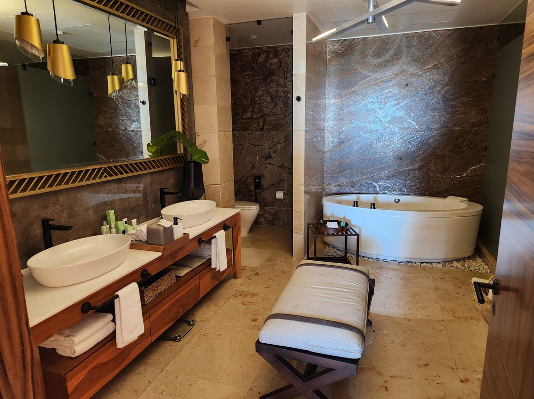 The Estates at Vidanta Nuevo Vallarta主图